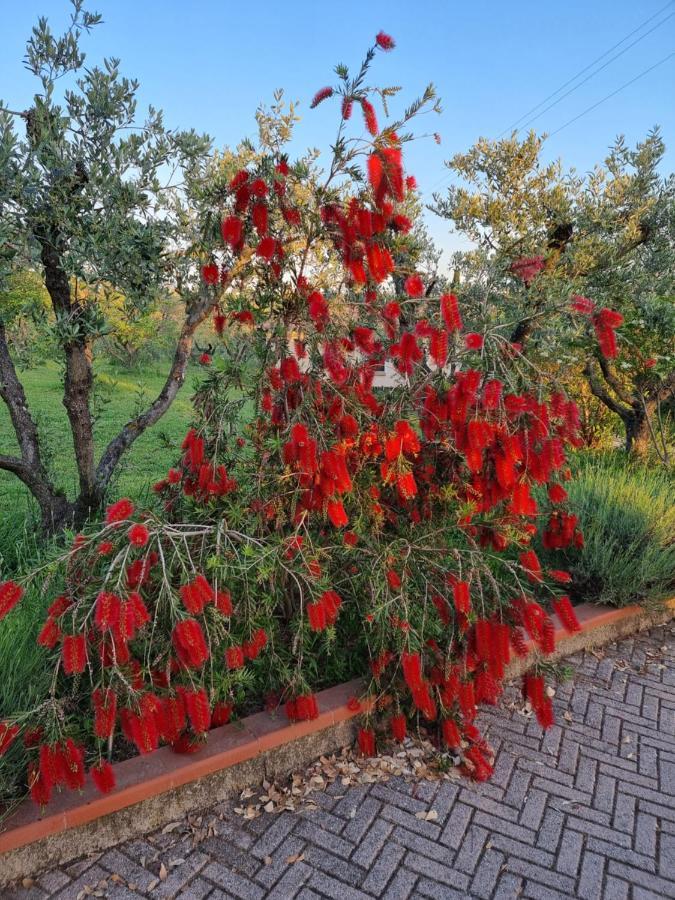Vigna Lontana Villa Монтескудайо Екстериор снимка