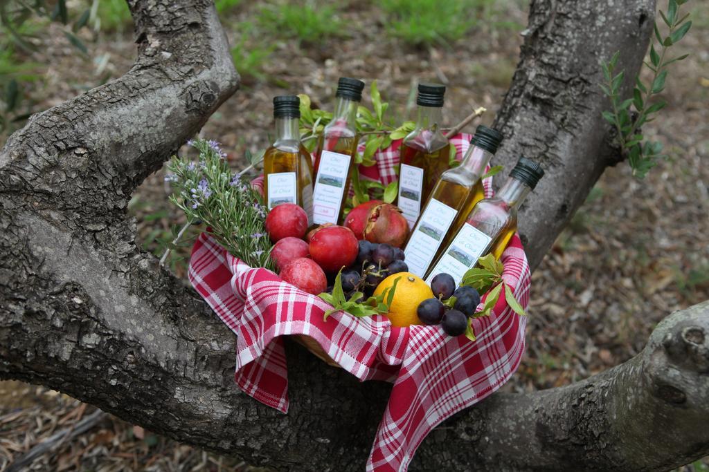 Vigna Lontana Villa Монтескудайо Екстериор снимка