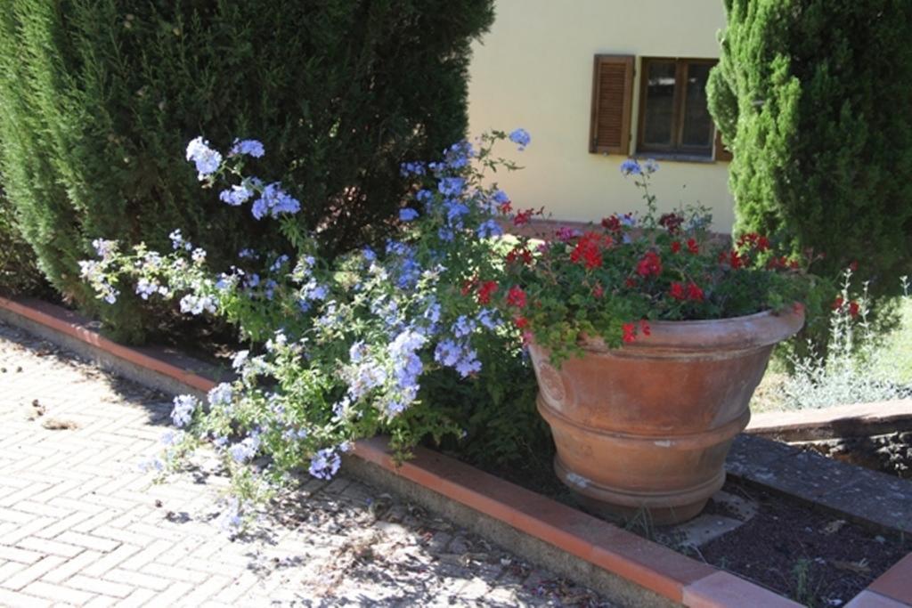 Vigna Lontana Villa Монтескудайо Екстериор снимка